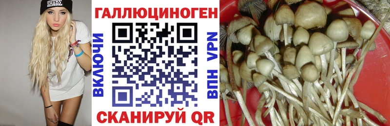Галлюциногенные грибы MAGIC MUSHROOMS  как найти   Первомайск 