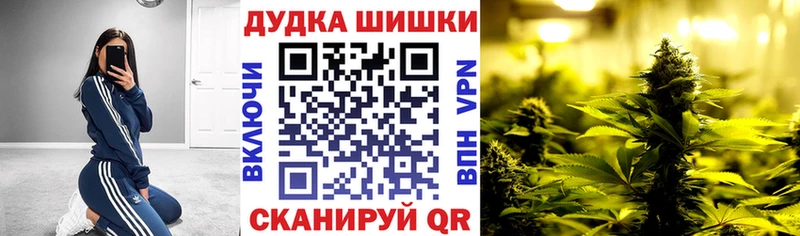 Бошки марихуана семена  продажа наркотиков  Первомайск 